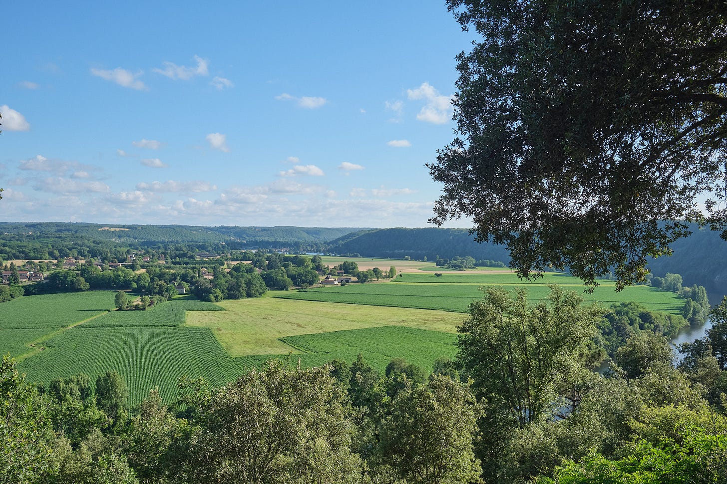 Cingle de Tremolat viewpoint. The bridge centre left of the image is at Mauzac. Just below and to the right of that is a black kite. Driving out of town, we saw lots of raptors. The image was taken with the only lens I had with me for my Fuji, a wide-angle 23mm.