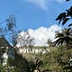 Under the Hollywood Sign