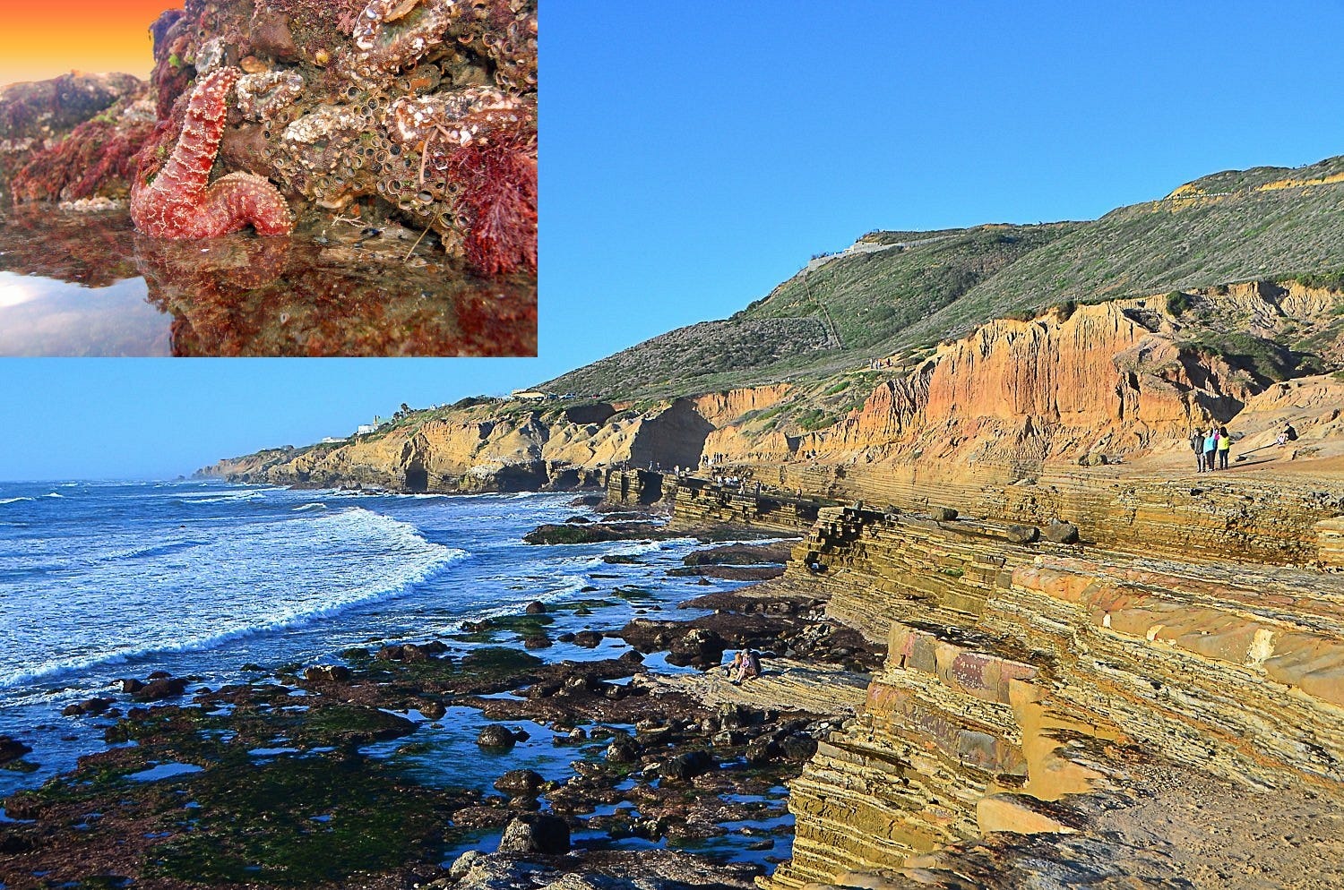 EarthStuff - User Story - Bringing Steinbeck & Ricketts Into The MBON Era