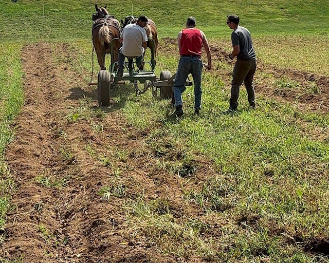 Learning to plow by horse