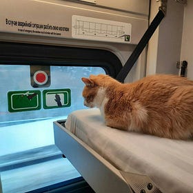 Russia according to Russians: A guide