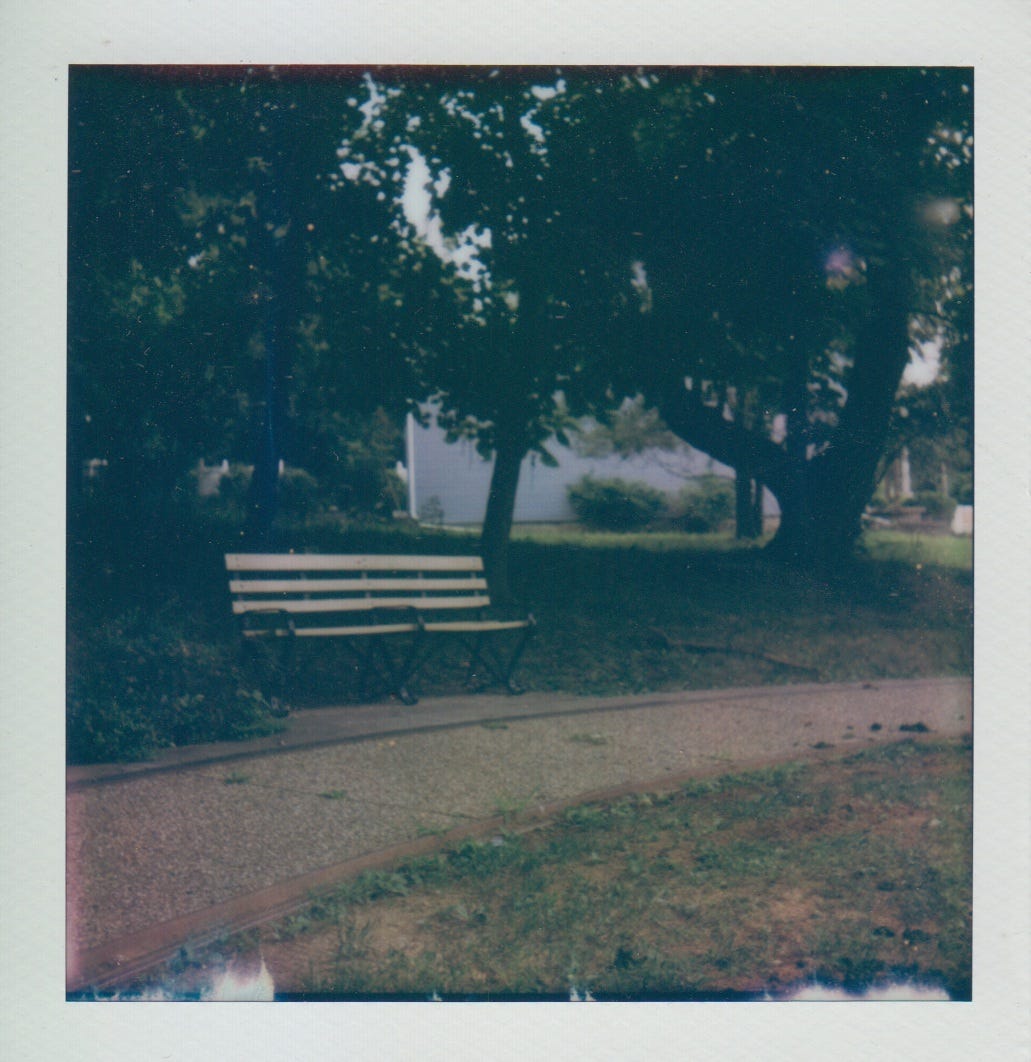 Polaroid of a park bench in Venson Park, Beltzhoover.