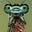 Elizabeth A Corey's avatar