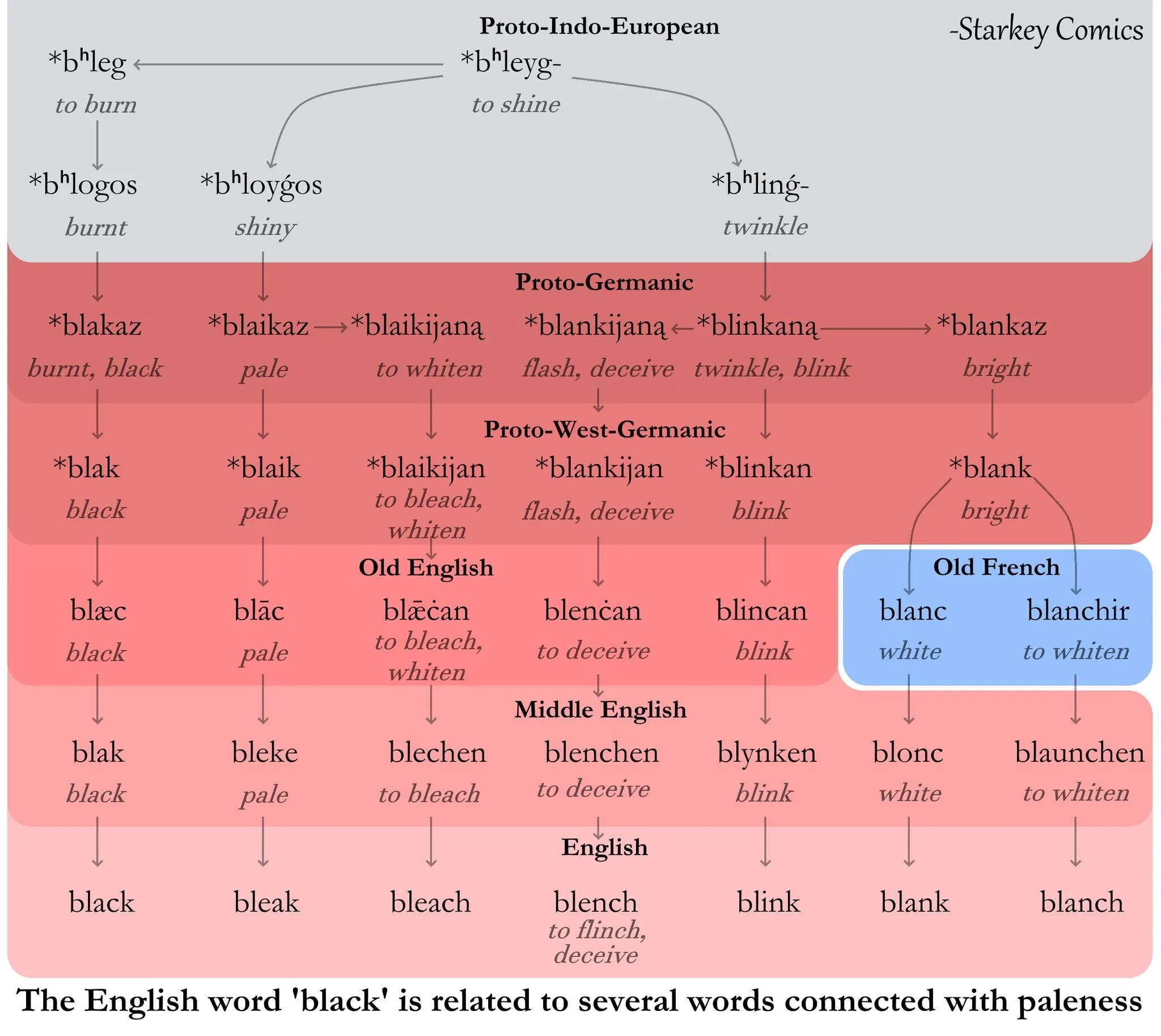 Etymology flowchart showing Proto-Indo-European roots meaning “to burn” and “to shine” branching through Proto-Germanic, Proto-West-Germanic, Old English, and Middle English into modern English words like “black,” “bleak,” “bleach,” “blench,” and “blink,” alongside Old French “blanc” (white) and “blanchir” (to whiten). Caption: “The English word ‘black’ is related to several words connected with paleness.” Etymology flowchart showing Proto-Indo-European roots meaning “to burn” and “to shine” branching through Proto-Germanic, Proto-West-Germanic, Old English, and Middle English into modern English words like “black,” “bleak,” “bleach,” “blench,” and “blink,” alongside Old French “blanc” (white) and “blanchir” (to whiten). Caption: “The English word ‘black’ is related to several words connected with paleness.”