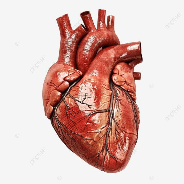 om te zien moet je kijken