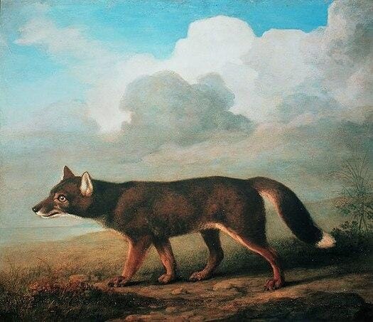 Portrait Of A Large Dog 1772 Portrait Of A Large Dog 1772
