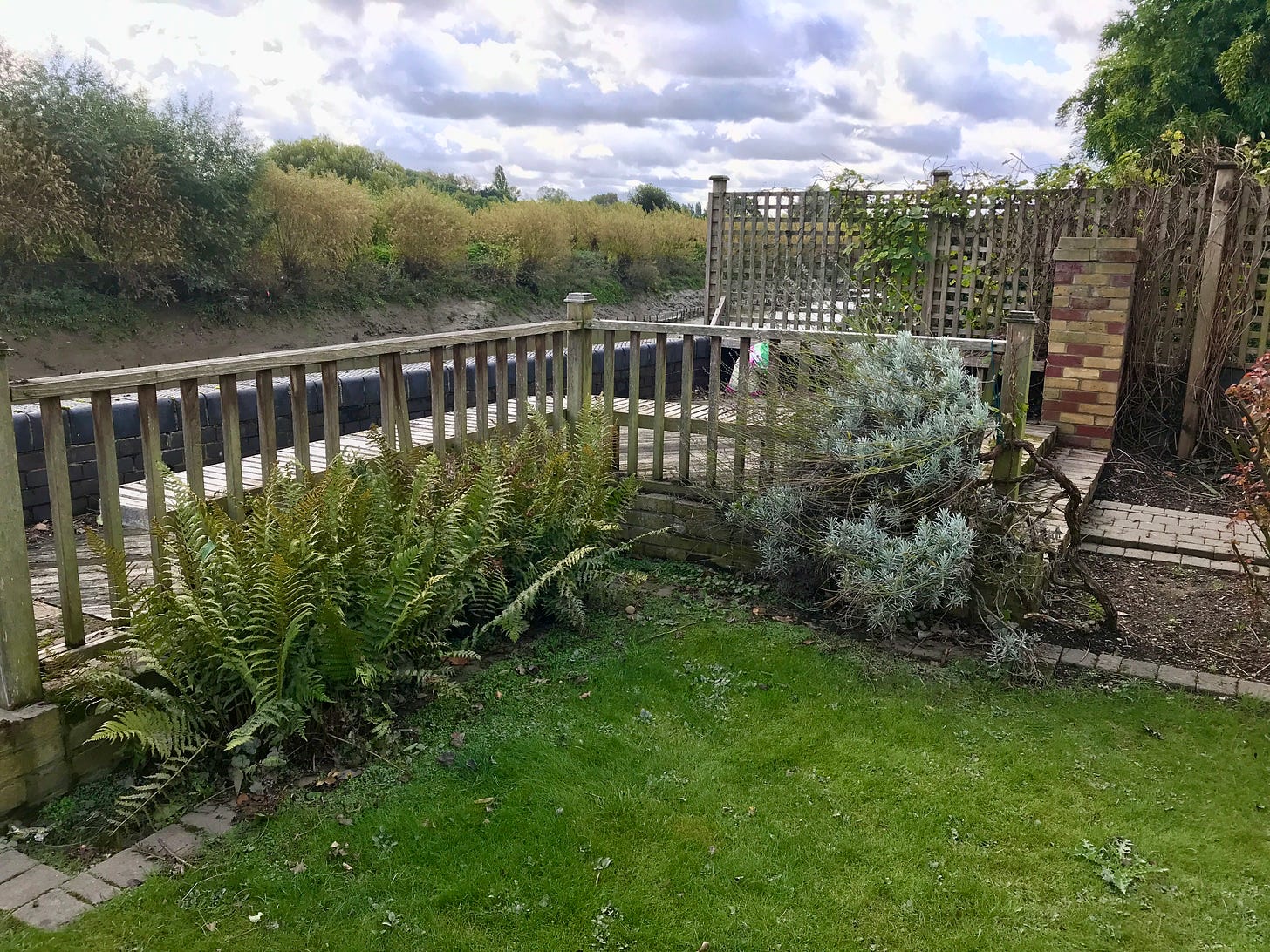 The before  image of a small garden design