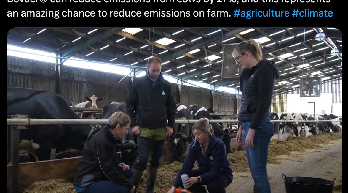 BREAKING: Methane-Reducing Feed Additive Trialled in Arla Dairy Farms