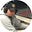 Brandon R. Sanders's avatar