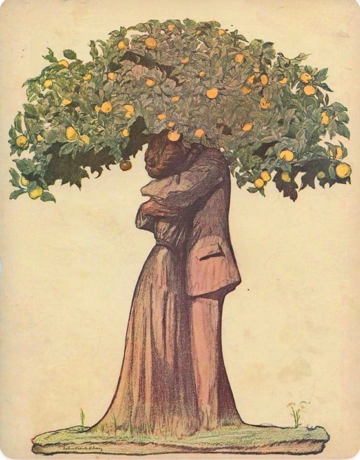 How’s Your Tree?