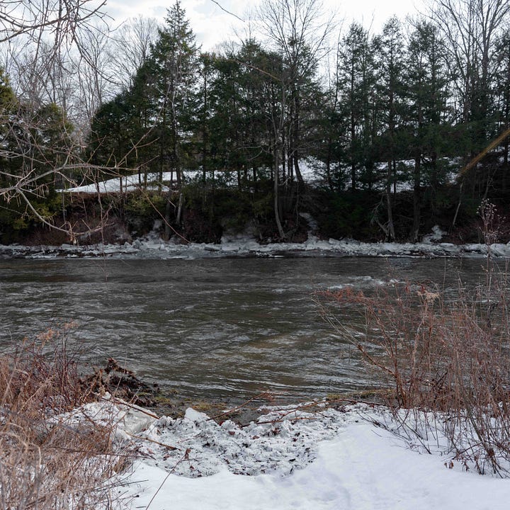 Diptych: Two river scenes with horizontal shoreline.