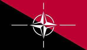 Vaush on Twitter: "Many have wondered how a stateless, classless,  hierarchy-free society could ever defend itself against military  aggression. The answer is clear - an international defensive coalition of  stateless societies, led