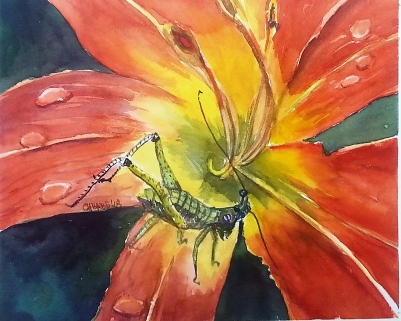 A grasshopper on an orange lily