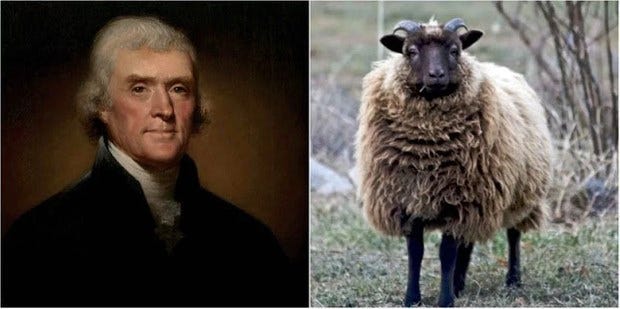 A person and a sheep

Description automatically generated with low confidence