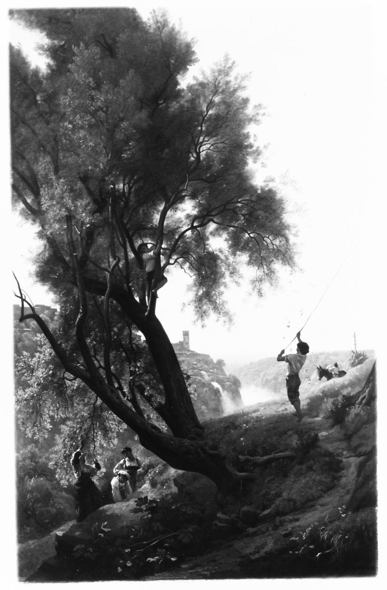 Gathering Olives at Tivoli, François-Louis Français (French, Plombières-les-Bains 1814–1897 Plombières-les-Bains), Oil on canvas Gathering Olives at Tivoli, François-Louis Français (French, Plombières-les-Bains 1814–1897 Plombières-les-Bains), Oil on canvas