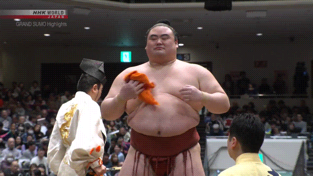 Sumo Stomp! | Tim Bissell | Substack