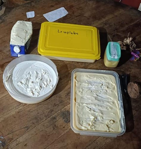 The image on the right is of coffee seed. In the middle is a hairy white sow nursing her piglets, and to the left is the freshly made soap in makeshift molds.