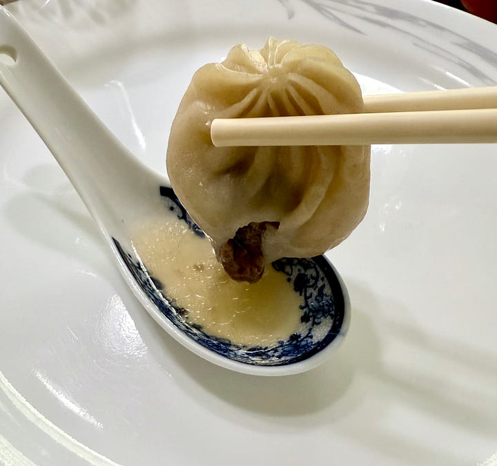 pho soup dumpling