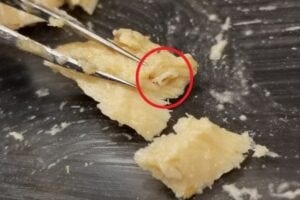 A photo of an anisakid worm — circled in red — in a canned salmon fillet.
