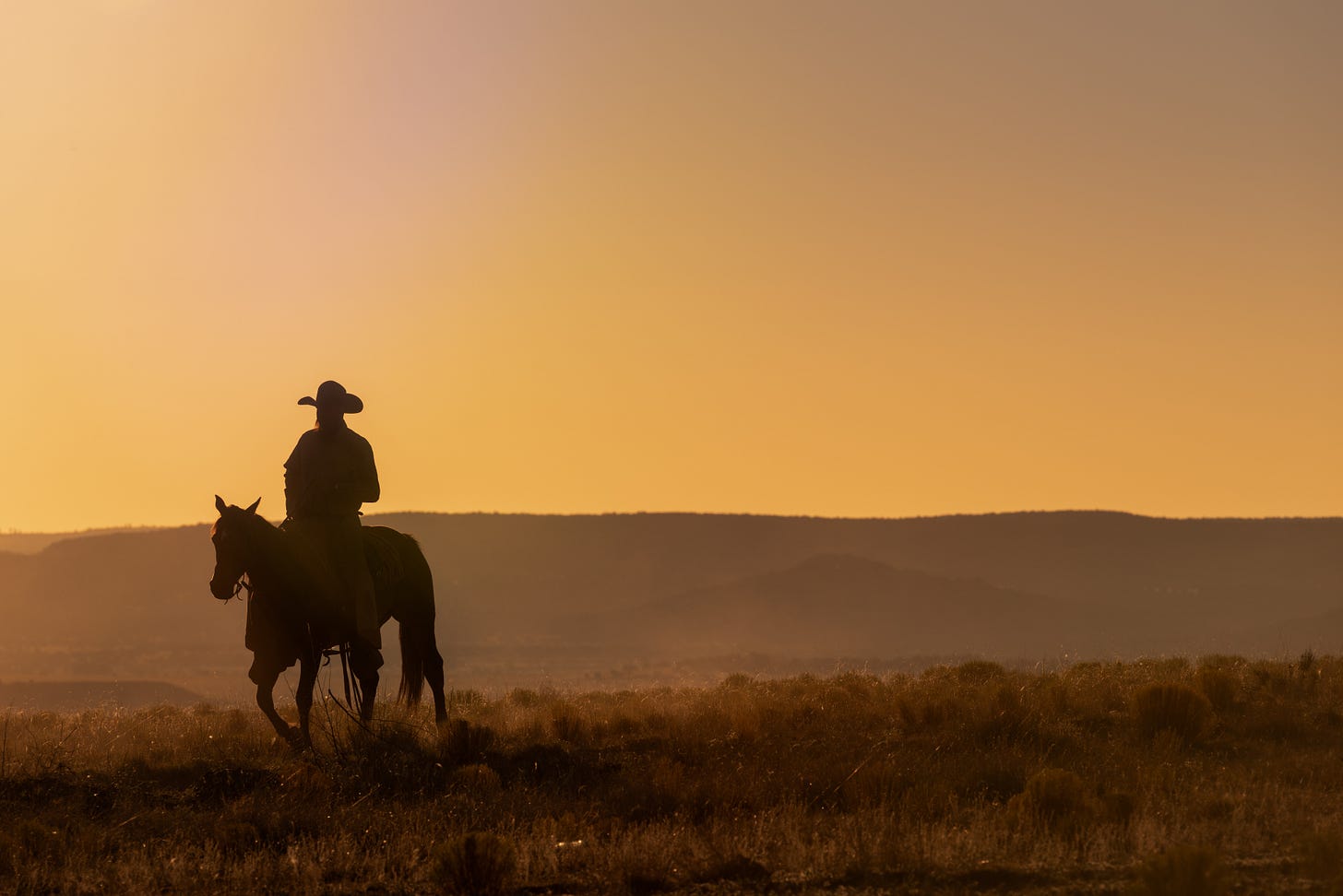 A cowboy riding on the plains