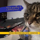 Grieving a furry friend, and all my August news