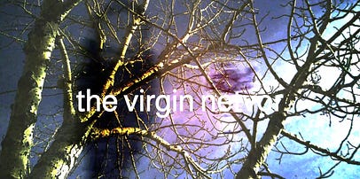 the virgin netvor