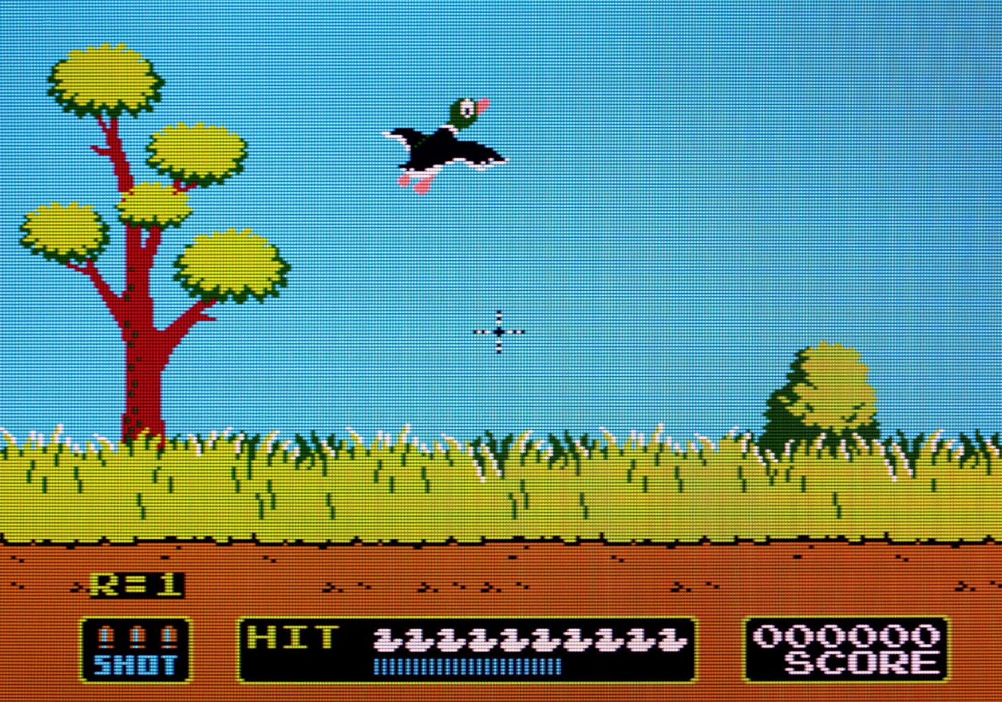 Duck Hunt screenshot | That 80s Dude