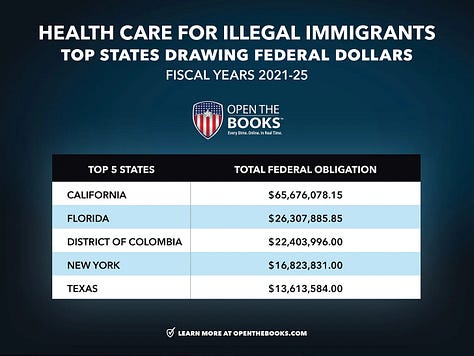 Nearly $200M in Direct Federal Grants Has Been Aimed at Expanding Programs to Serve Illegal Immigrants.