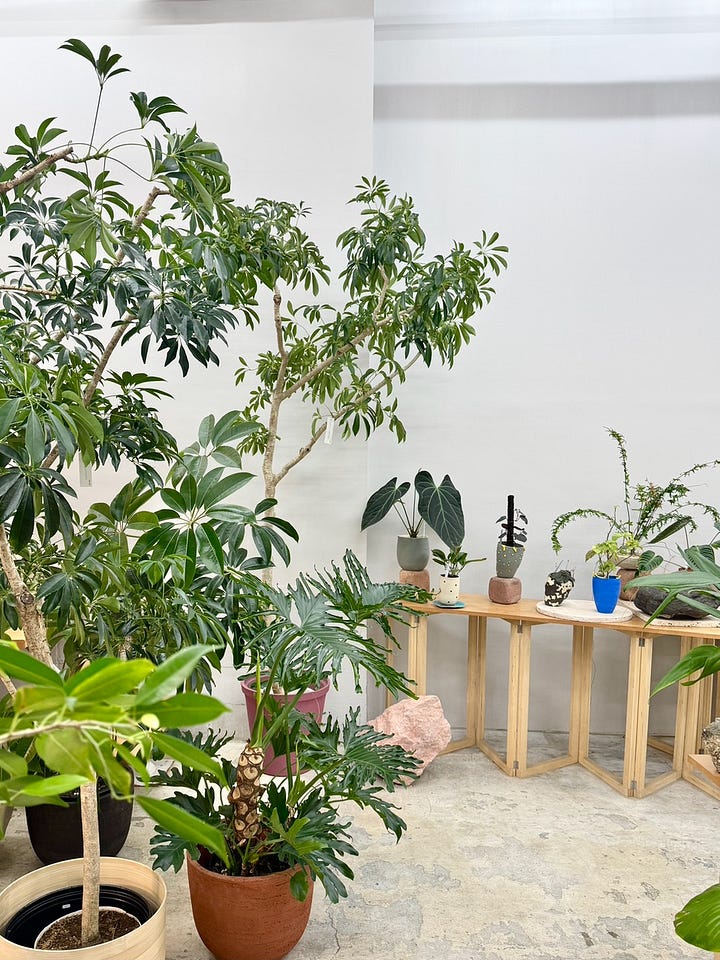 植栽 WORKSIGHT植木市 - FabCafe Osaka