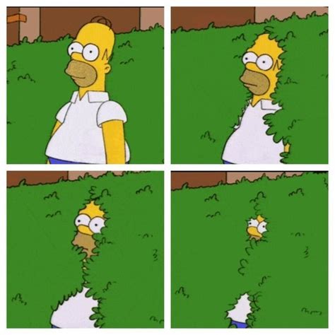 Homer simpson bush Memes Homer simpson bush Memes