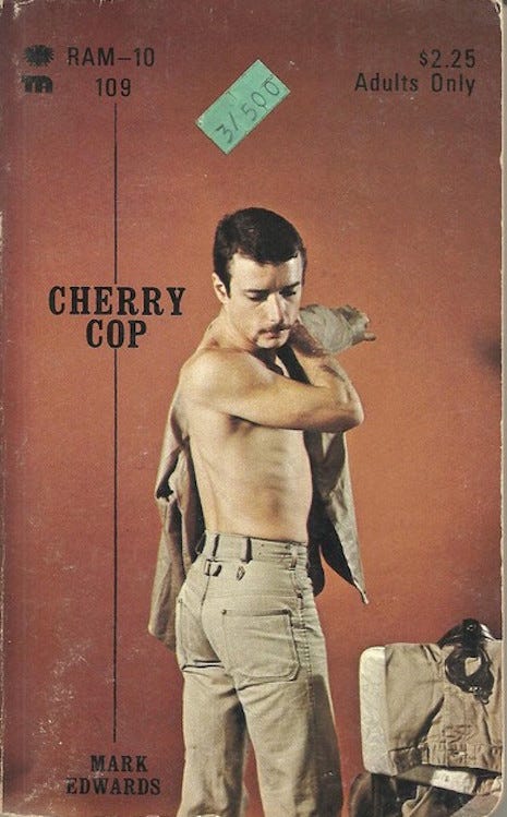 Dig these awesome 'gay pulp' paperback covers from the 1970s