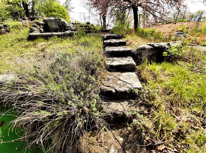 Four pictures showing the old steps at the miniature golf course in Gettysburg that are overgrown with vines.