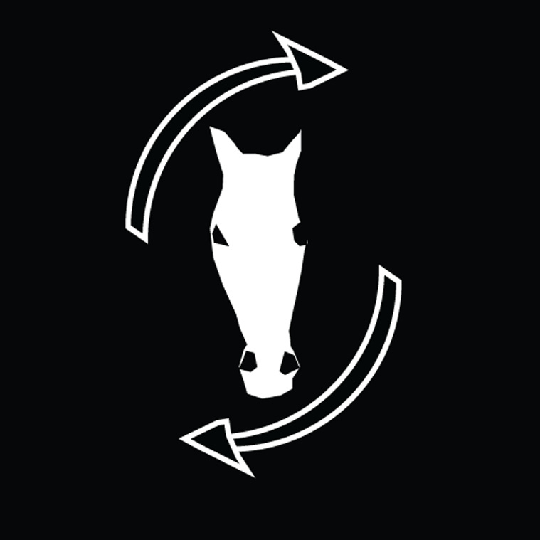 The Horses of the Gods