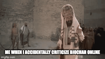 Monty Python's Life of Brian stoning scene: a robed man in a prayer shawl stands before a crowd by a stone wall. Caption: "ME WHEN I ACCIDENTALLY CRITICIZE BIOCHAR ONLINE"