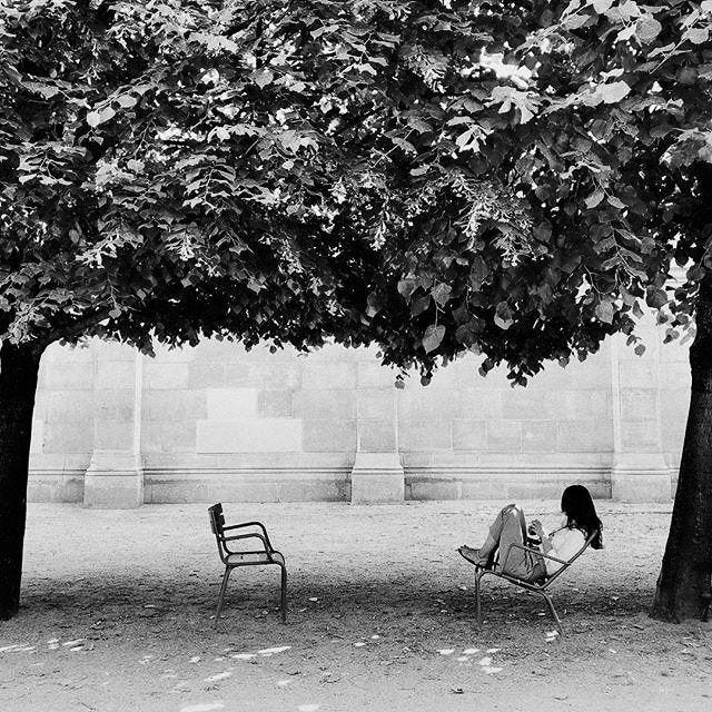 This may contain: a woman sitting on a bench under a tree