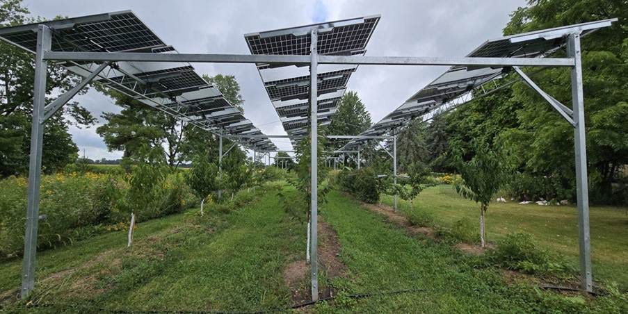Solar panels on poles in a field

AI-generated content may be incorrect.
