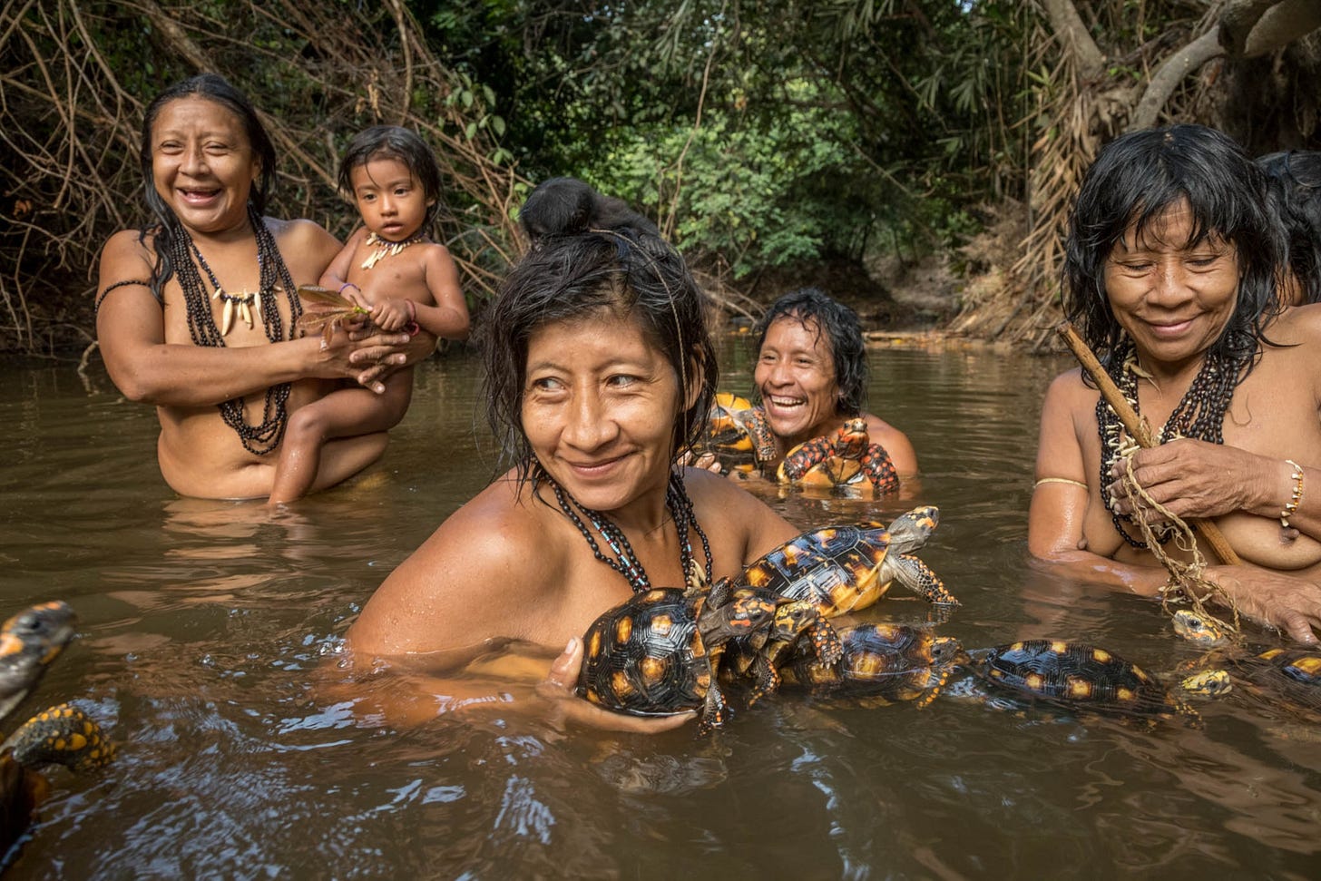 Isolated Nomads Are Under Siege in the Amazon Jungle | National Geographic