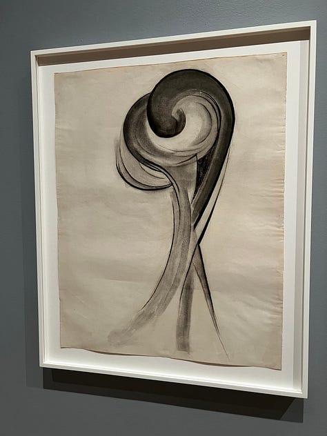 洋書 Georgia O'Keeffe TO SEE TAKES TIME Georgia O'Keeffe: To See Takes Time - de Young & Legion of