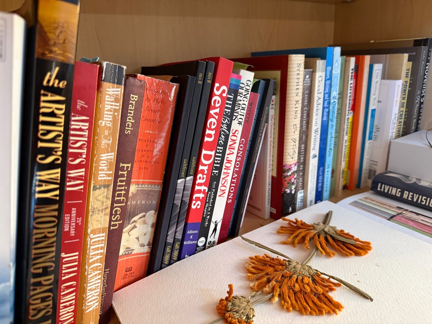 A group of books on a shelf

Description automatically generated