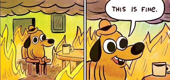 This Is Fine | Know Your Meme