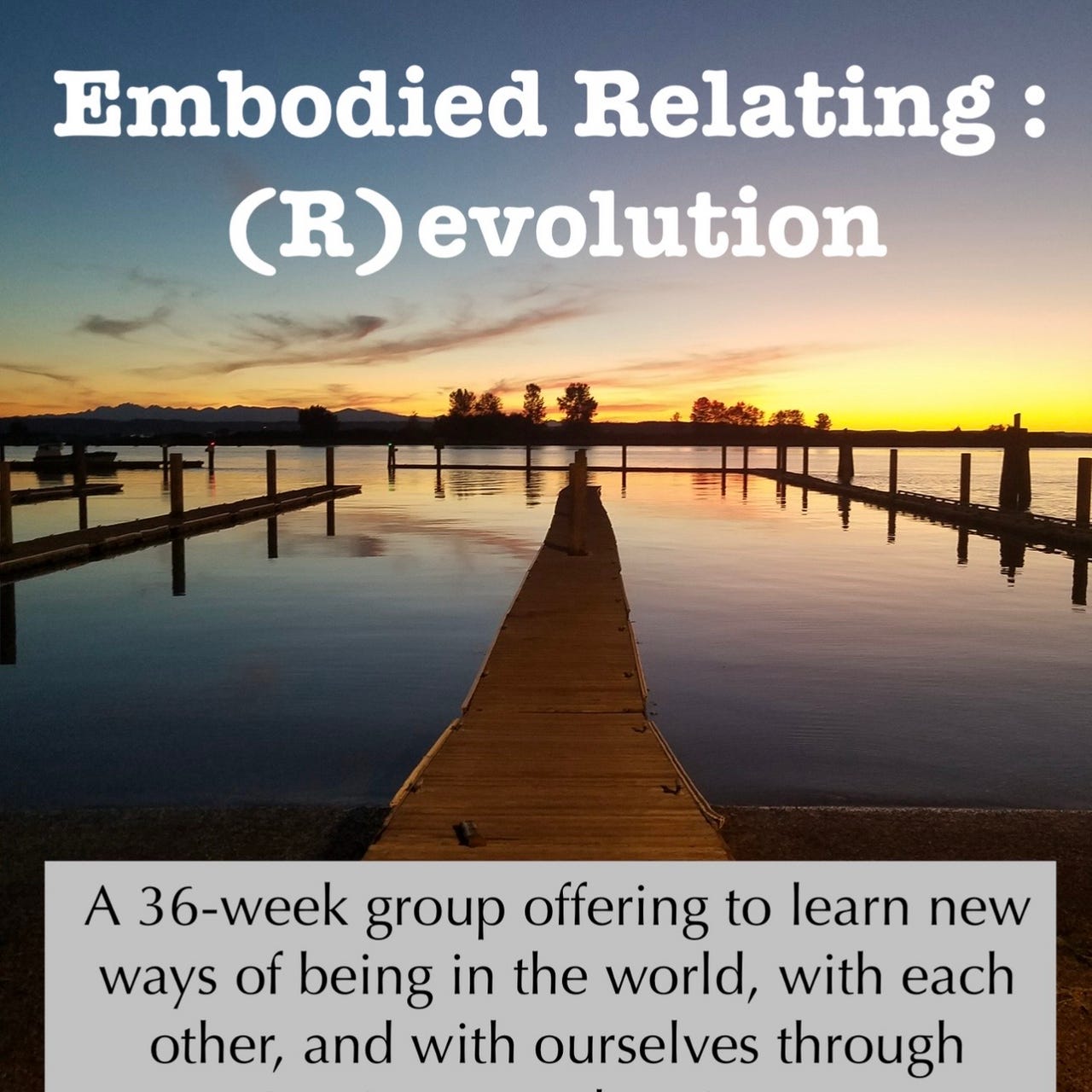 Embodied Relating : (R)evolution logo