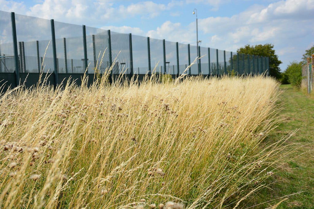 Yarl's Wood Protest.