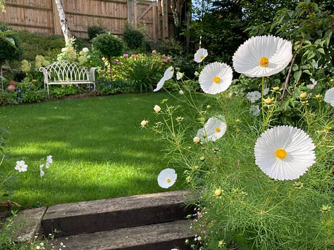 Pollinator plants throughout the season