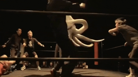 Squid GIFs - Get the best GIF on GIPHY Squid GIFs - Get the best GIF on GIPHY