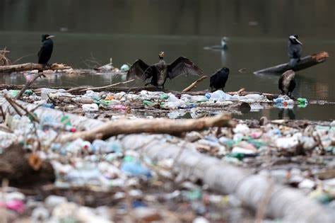Biden has totally failed to curb plastics pollution; I have a plan to ...
