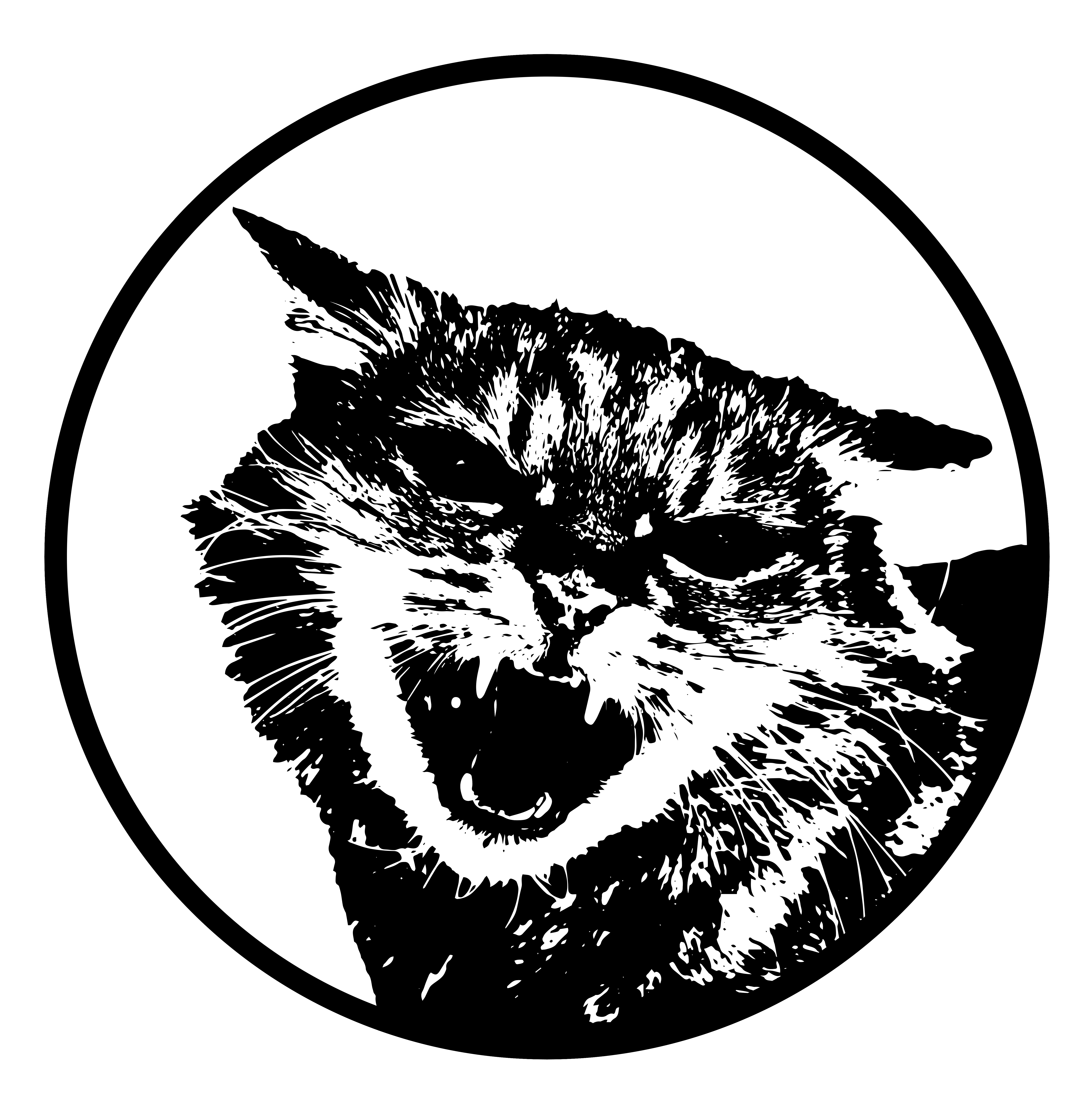 Substack profile picture for @headhunter