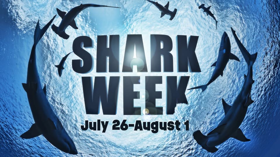 May be an image of text that says 'SHARK WEEK July 26-August1 26- 1' May be an image of text that says 'SHARK WEEK July 26-August1 26- 1'