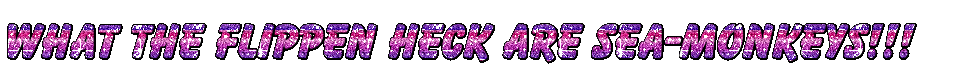 www.GlitterTextOnline.com