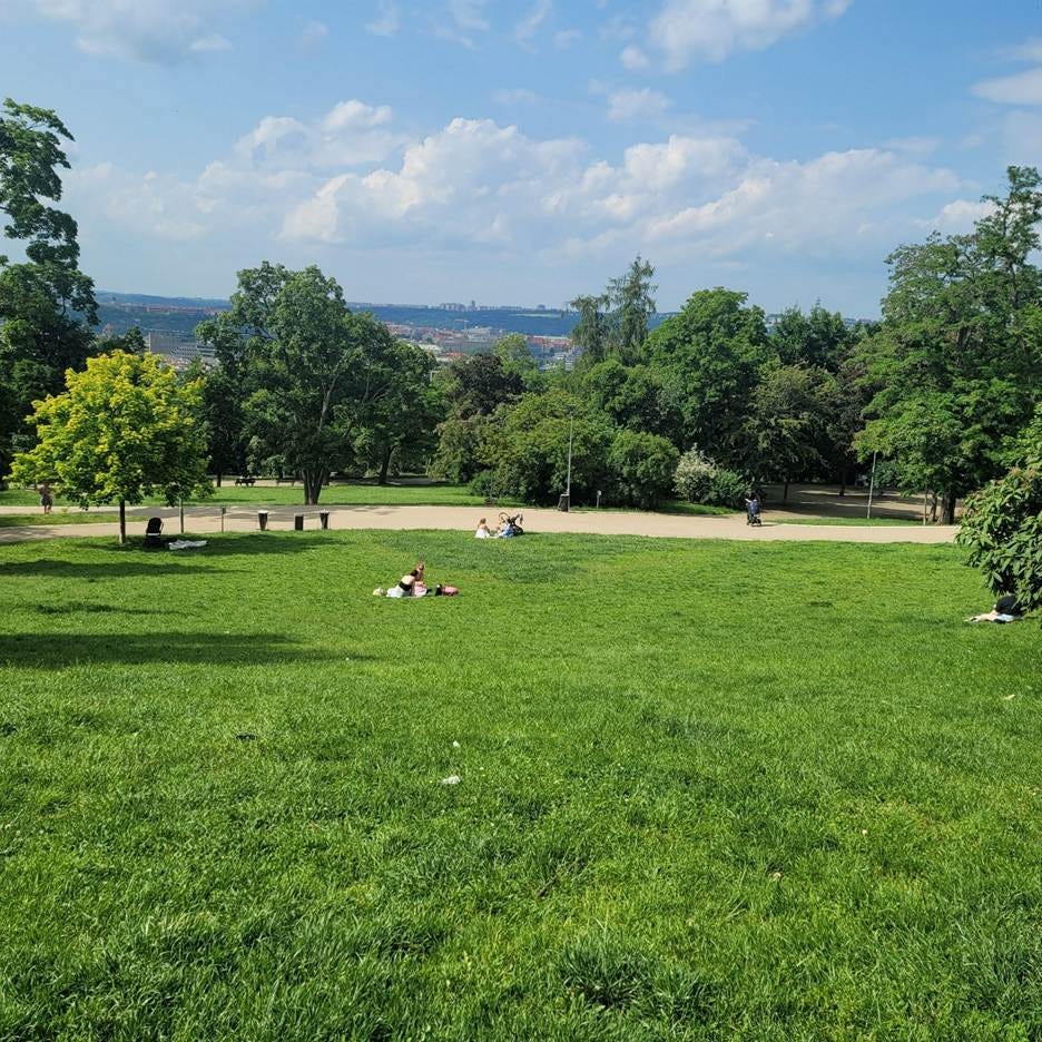A group of people in a park

AI-generated content may be incorrect.