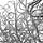 Radicle Weft